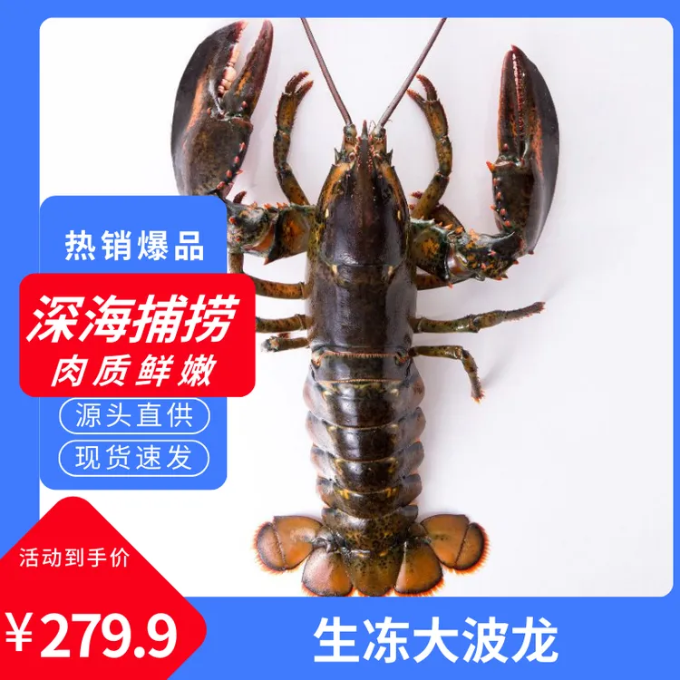 加拿大波士顿龙虾生冻大虾海鲜生冻水产批发商用
