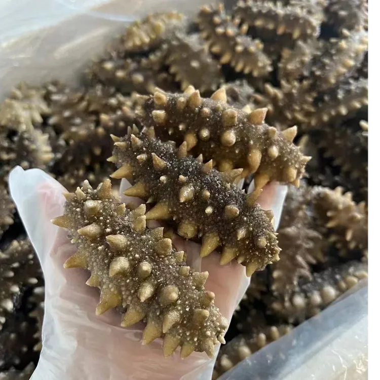 【拍二送一】5-8头 大连冷蒸即食海参