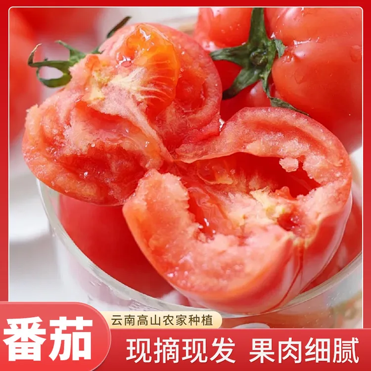 产地直供现摘现发新鲜番茄软糯甘甜个大饱满4.5斤/9斤装