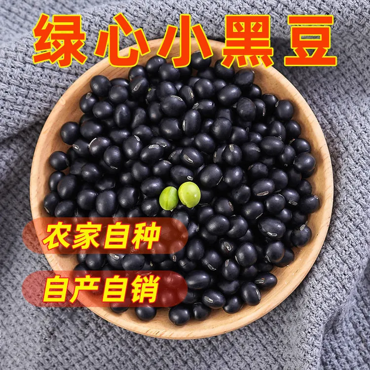 云南黑豆绿芯绿心黑豆农家青仁黑豆发芽打豆浆新货纯黑豆批发包邮