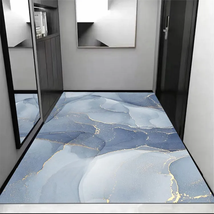 入户硅藻泥地垫进门免洗吸水防滑脚垫门口防滑垫子门垫玄关地毯