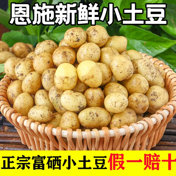正宗恩施黄心小土豆新鲜现挖马铃薯高山黄皮黄心洋芋整箱10斤包邮