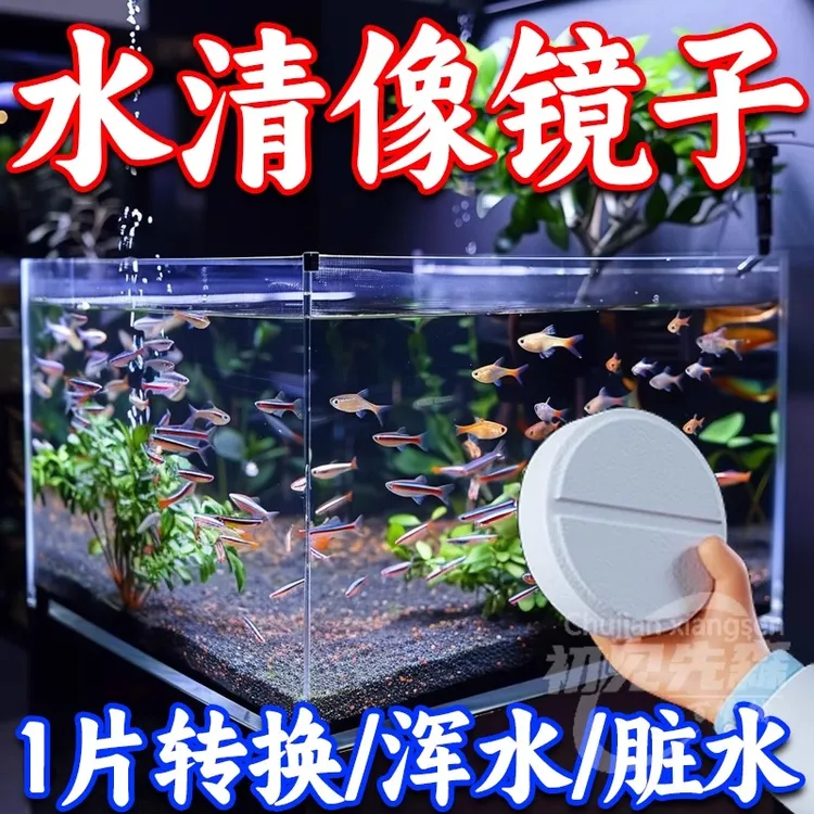 鱼缸长效净水片清澈净化水质除污臭鱼缸水族鱼池清水除氯水净水片