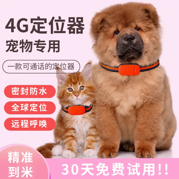 猫咪狗狗宠物项圈定位器gps订位仪追踪神器猫咪宠物电话手表