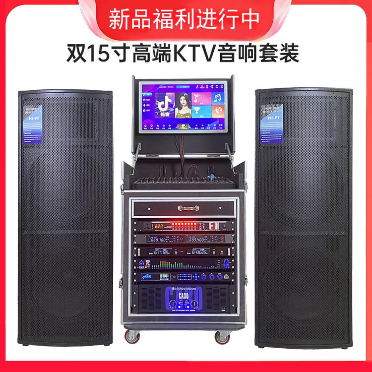 爱极 双15寸进口航天磁号角专业舞台演出迪吧演唱会家庭KTV全套装