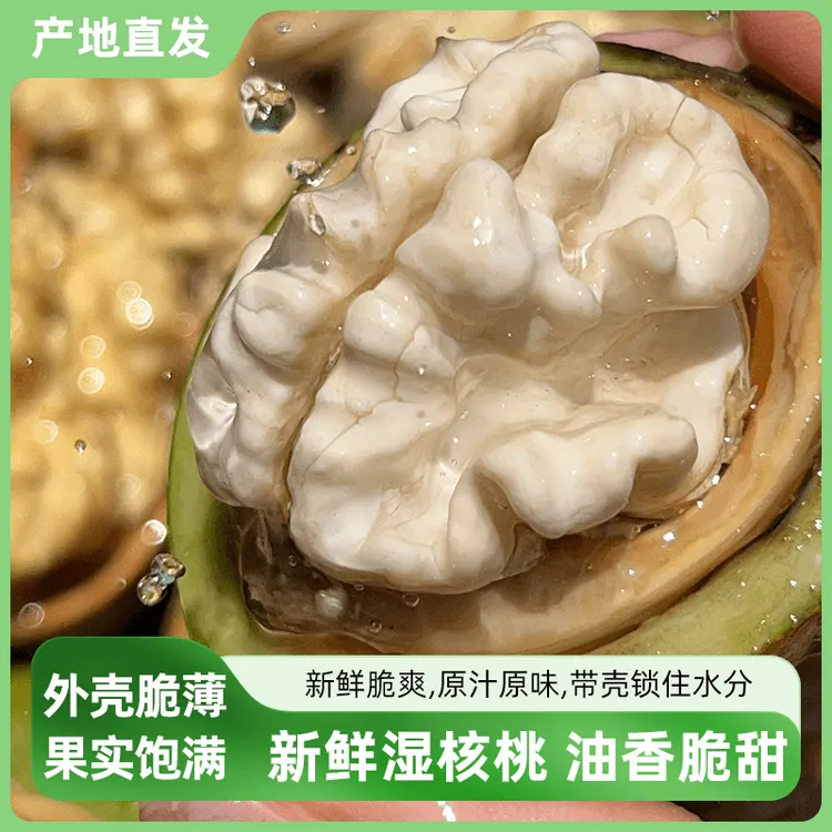 山西汾阳新鲜纸皮核桃去青皮湿核桃水果核桃薄皮净重3斤冰袋顺丰