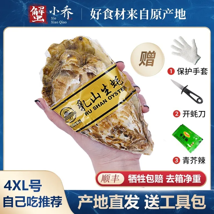 【4XL号，共10斤/5斤】乳山生蚝牡蛎海蛎子鲜活发货牺牲包赔海鲜顺丰