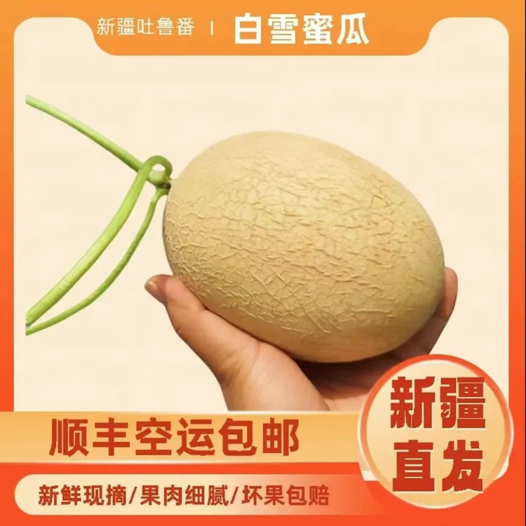 空运包邮）新疆吐鲁番白雪蜜瓜顺丰空运哈密瓜吐鲁番产地直发