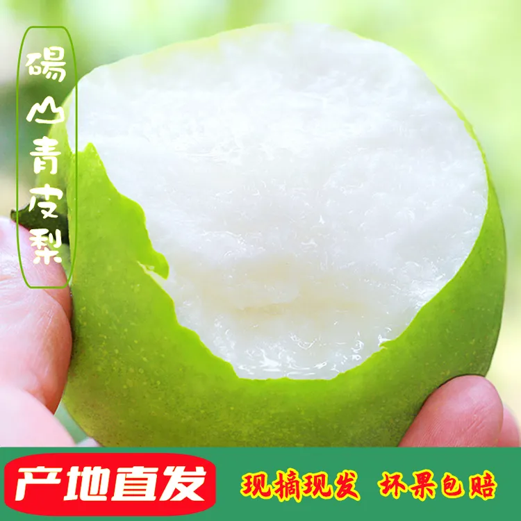 正宗砀山皇冠梨翠冠梨青皮梨脆梨蜜梨酥梨新鲜水果产地直发