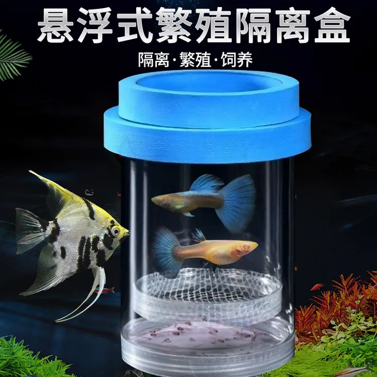 孔雀鱼斑马鱼繁殖盒鱼缸隔离盒小鱼母鱼产房漂浮式繁殖罐孵化器