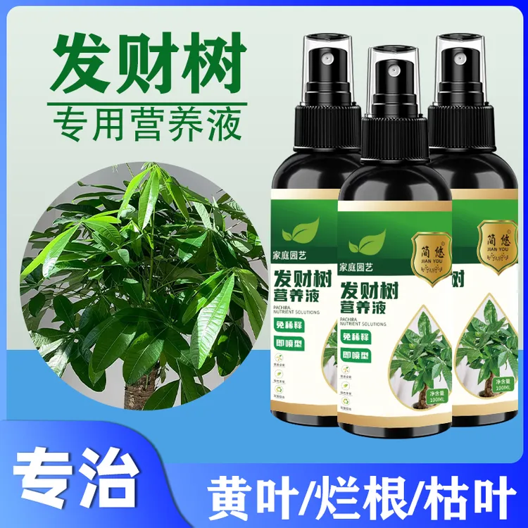 【常绿】发财树营养液专用肥料叶子发黄掉叶烂根救活催芽剂免稀释
