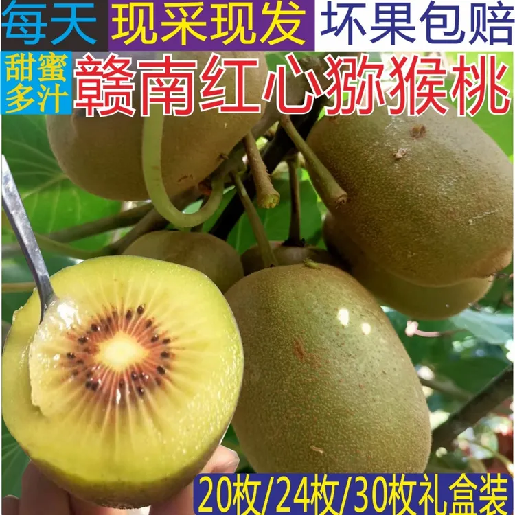赣南红心猕猴桃新鲜现采当季奇异果整箱孕妇水果包邮净重5斤