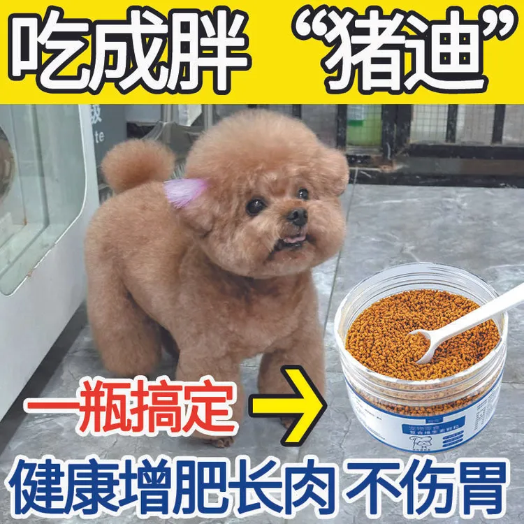 泰迪越吃越胖狗狗拒食不吃挑食消瘦增肥长肉专用营养复合维生素