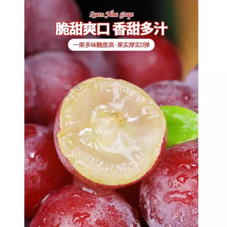 【妮娜皇后】A+新鲜葡萄 单粒装 无籽红提  包邮