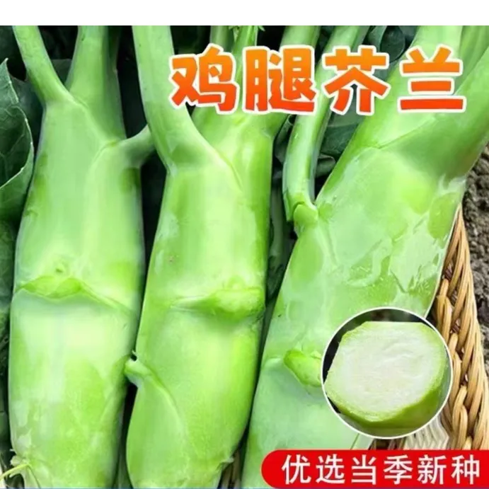鸡腿芥兰种子甜脆芥兰粗条菜苔蔬菜种籽广东四季芥菜籽秋季芥兰籽