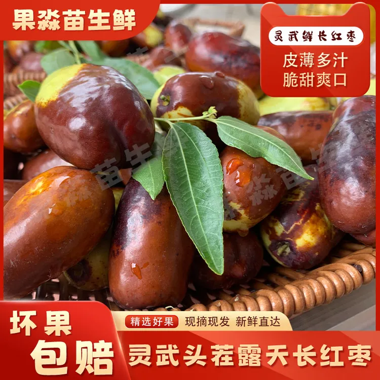 宁夏灵武鲜长红枣脆甜皮薄香甜优质精选甘甜红枣