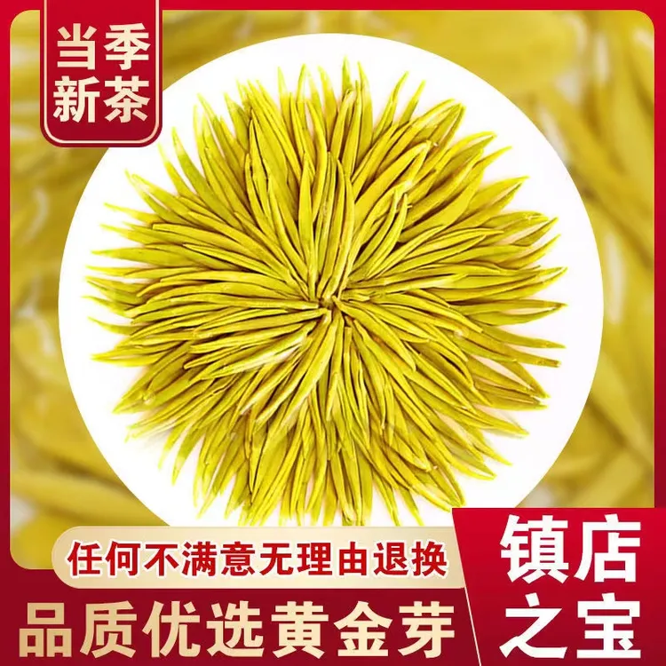 A1 2025新茶黄金芽毛峰春茶绿茶125g250g