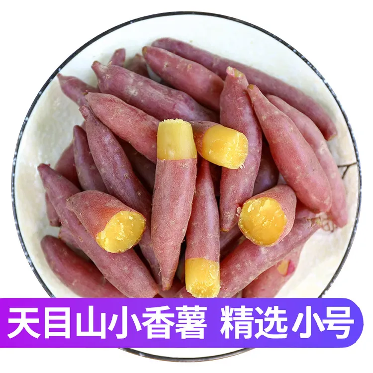 临安天目山小香薯（统货10-50克迷你果）新鲜现挖粉糯香甜农产品