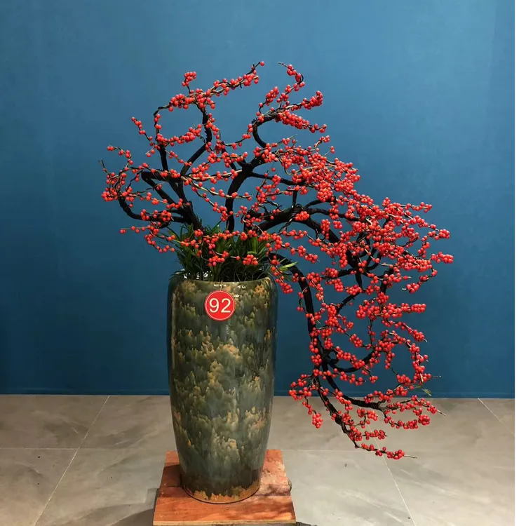 满堂红北美冬青黑骨造型高端观果盆栽中国红冬季耐寒果期悠长礼品