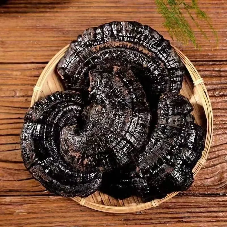 「新号专属」黑灵芝250g/500g