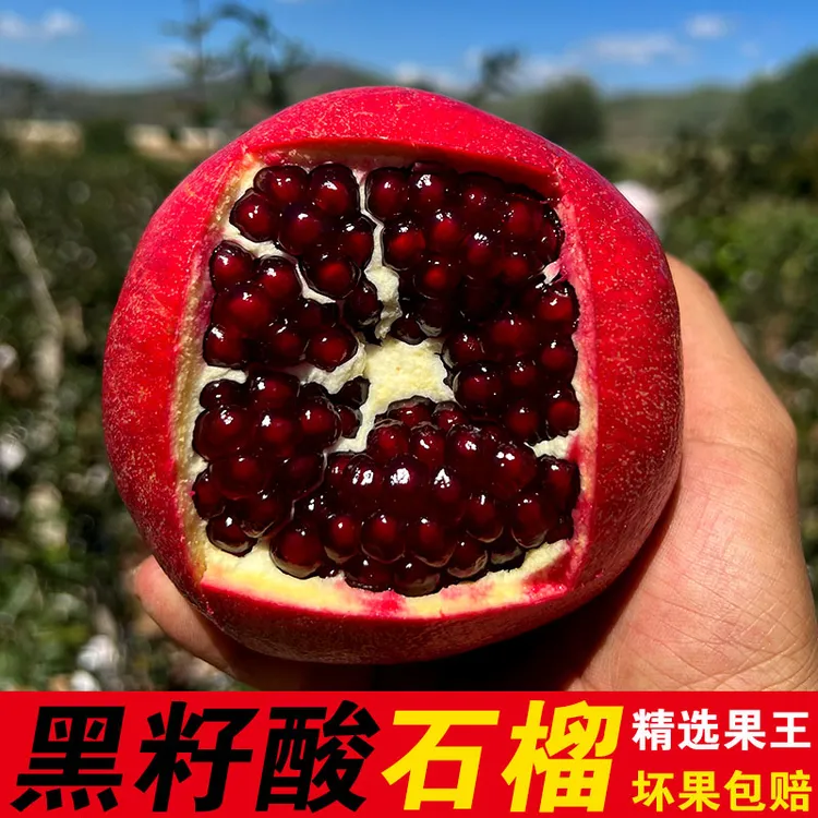 （泡酒酸石榴）云南黑籽酸甜石榴现摘孕妇新鲜水果红籽鸽血黑珍珠