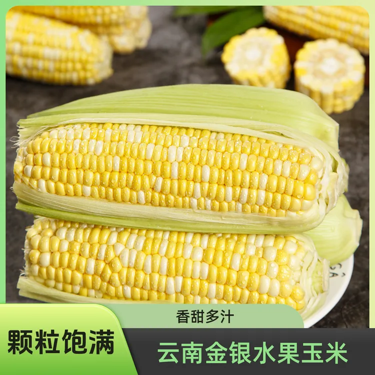 云南金银水果玉米新鲜3/8斤现摘带皮棒子香甜嫩爆浆蔬菜颗粒饱满