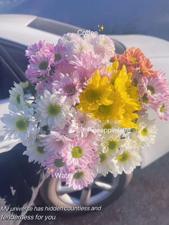 混色小菊“甜蜜快乐”主播搭配款共10支（两单包邮）