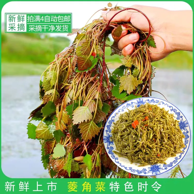 安徽特产新鲜采摘菱角菜蔬菜500g1袋包邮农产品