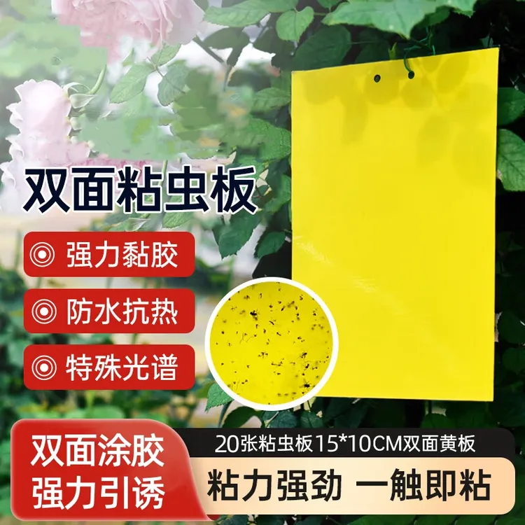 空消双面粘虫板黄板诱捕虫板害虫蓟马黑虫灭小飞虫果蝇粘板大棚