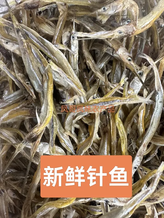 江西特产针公鱼。贡鱼  针鱼