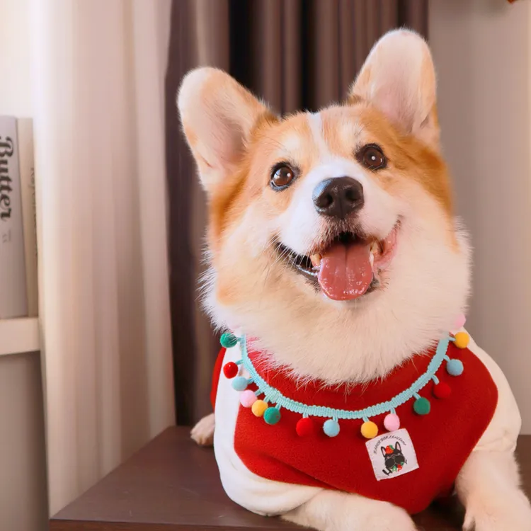 Tigerdog圣诞柯基柴犬田园犬加绒加厚奥粒绒T恤宠物衣服毛绒衣服