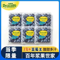 【本来果坊】Driscoll's 秘鲁怡颗莓当季蓝莓5盒/6盒装 单盒125g