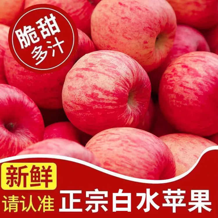 陕西白水苹果产地直发冰糖心红富士脆甜新鲜水果多汁24头全国包邮