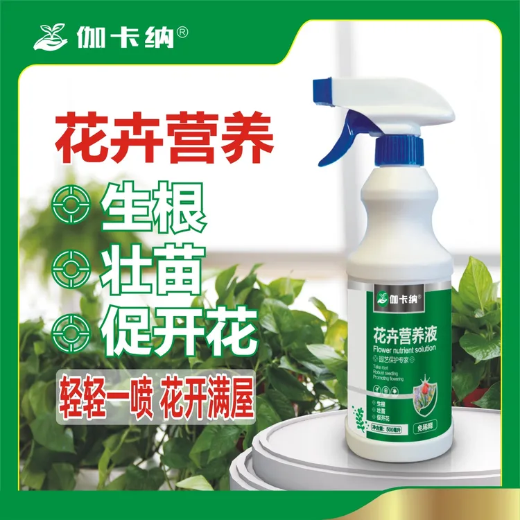 花卉通用园艺盆栽绿植植物营养液水培免稀释氮磷钾肥料均衡生长