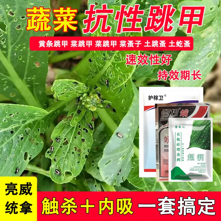 亮威甘蓝蔬菜叶菜抗性跳甲虫灭除专用黄曲条跳甲当专用农药杀虫剂