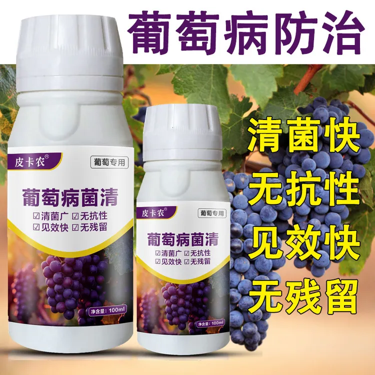 葡萄病菌清烂果褐腐病穿孔流胶缩叶疮痂炭疽病白粉病黑星病复合肥
