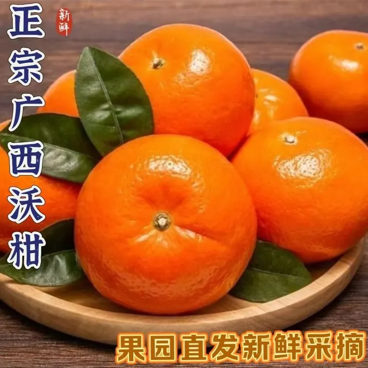 正宗广西武鸣沃柑纯甜新鲜水果柑橘桔子薄皮多汁现摘非砂糖橘蜜桔