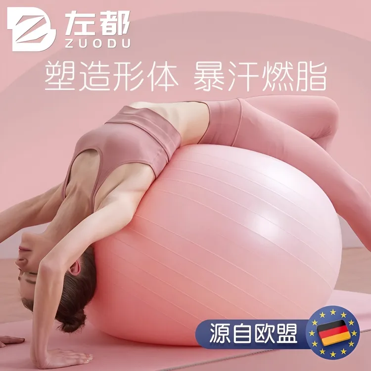 PVC瑜伽球瑜伽运动家用加厚防爆儿童成人按摩球健身球大龙平衡球
