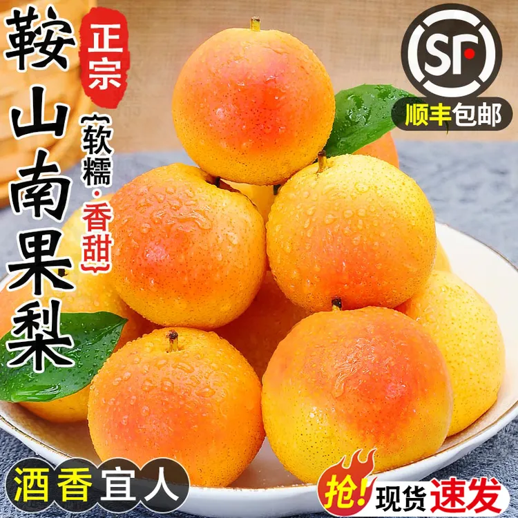 当季正宗鞍山特产南果梨新鲜水果起司啤梨冻梨砀山梨香梨整箱包邮