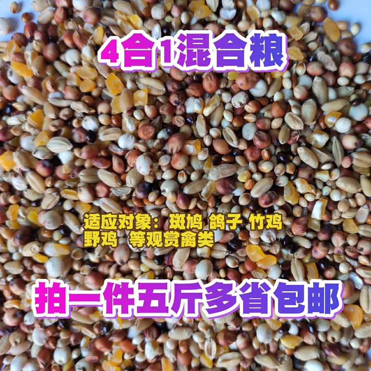 斑鸠粮食斗鸡粮鸽粮食营养饲料鸟食信鸽观赏鸽赛鸽通用幼鸽成鸽粮
