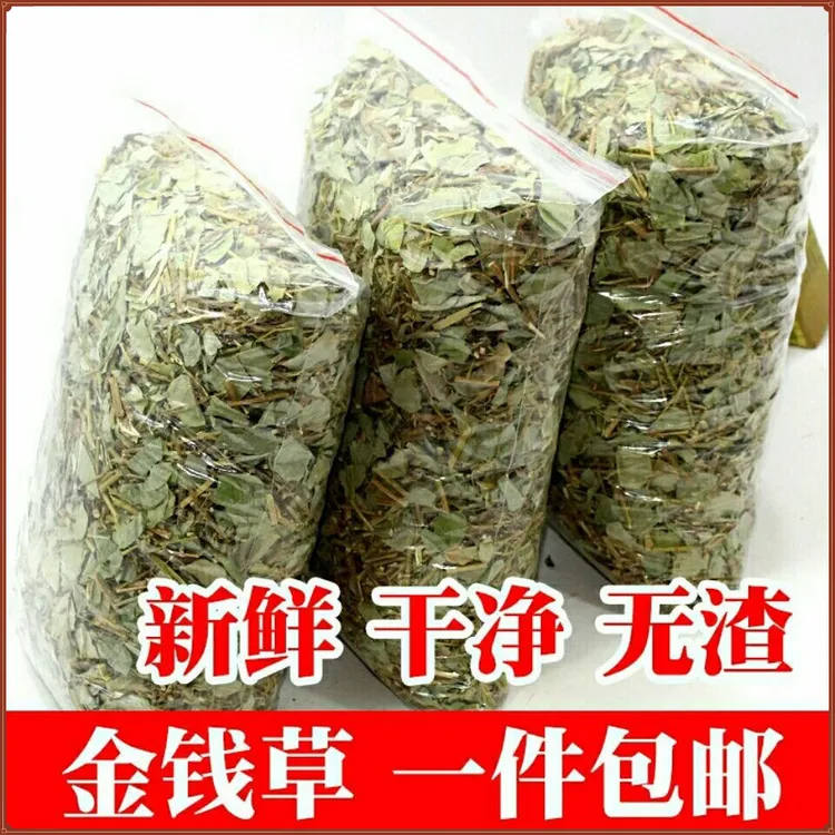精选广西大叶金钱草500g/50g新货金钱草新鲜切段干净干货枸杞泡水