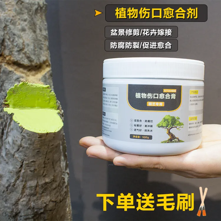 植物伤口愈合剂盆景园艺使用月季果树植物花卉修剪嫁接涂抹愈伤膏