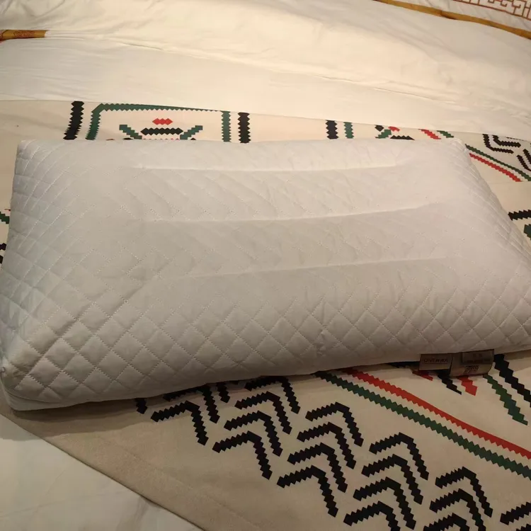 点凡酒店高端四角立体荞麦枕硬枕芯两只装+两只枕套透气颗粒成人