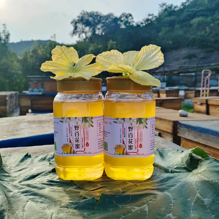 大自然野山花蜂蜜 深山野百花蜂蜜【野生蜂蜜】 天然正宗农家土蜂蜜