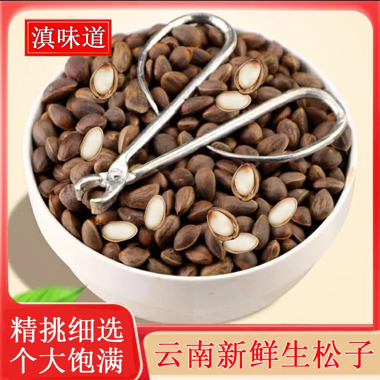 【新货】云南新鲜薄壳松子1/2/4等 原味贵州松子颗粒饱满薄壳生松子