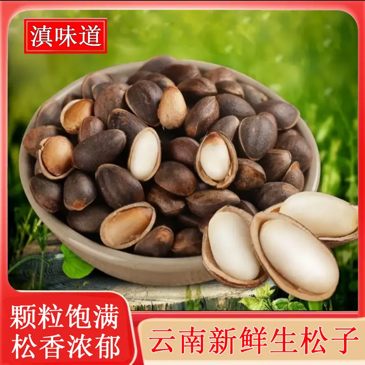 2025云南新鲜原味薄壳松子不加工无添加生吃饱满1斤/2斤/4/8斤