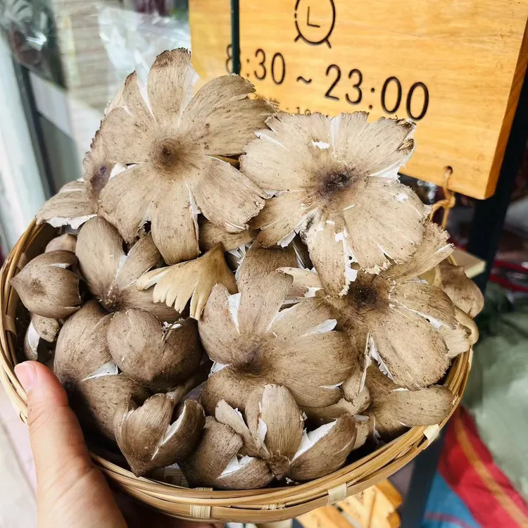 云南野生鸡枞油380g-1500g