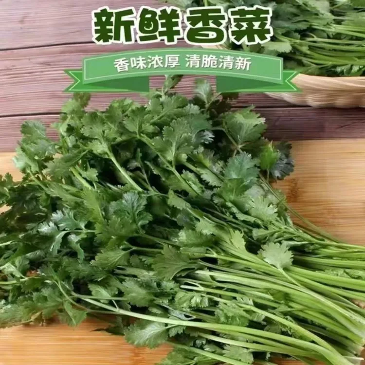珍口福露天霜打新鲜香菜新鲜芫荽凉拌菜饺子菜火锅菜1/2/3/4斤
