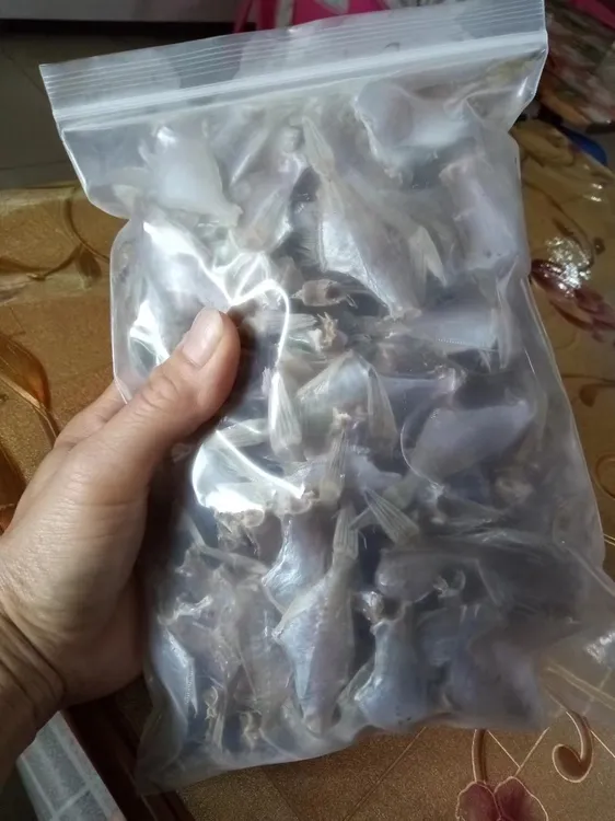 剥皮鱼干迪仔鱼干