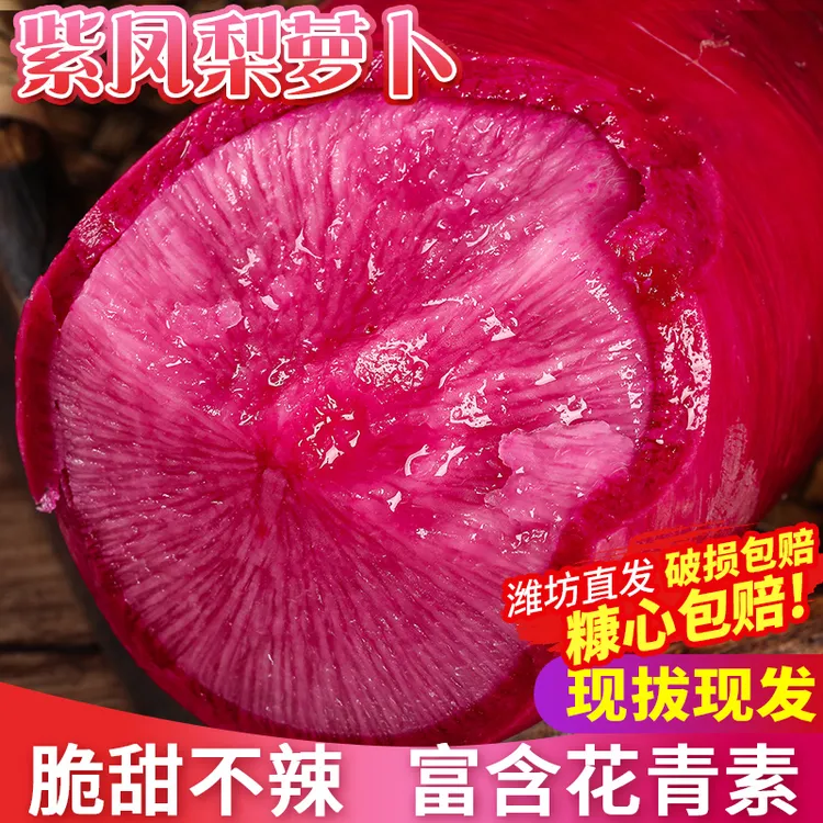 潍萝潍坊紫美人水果萝卜 甜脆凤梨萝卜 生吃现拔现发5斤新鲜蔬菜